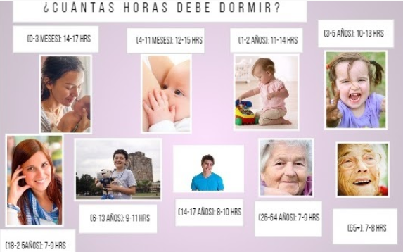 Infografía 2